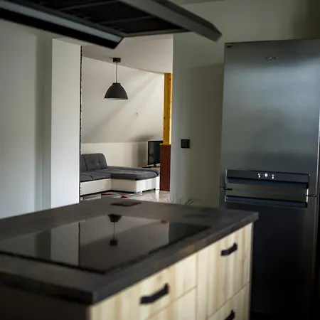 H Jankov Apartment