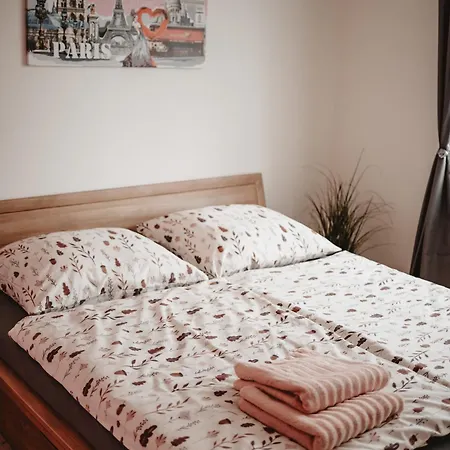 Apartment H Jankov *