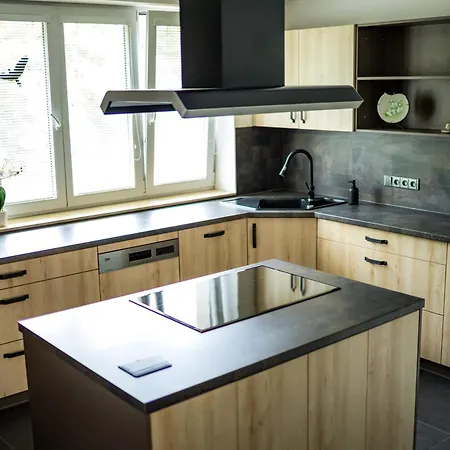 Apartment H Jankov *