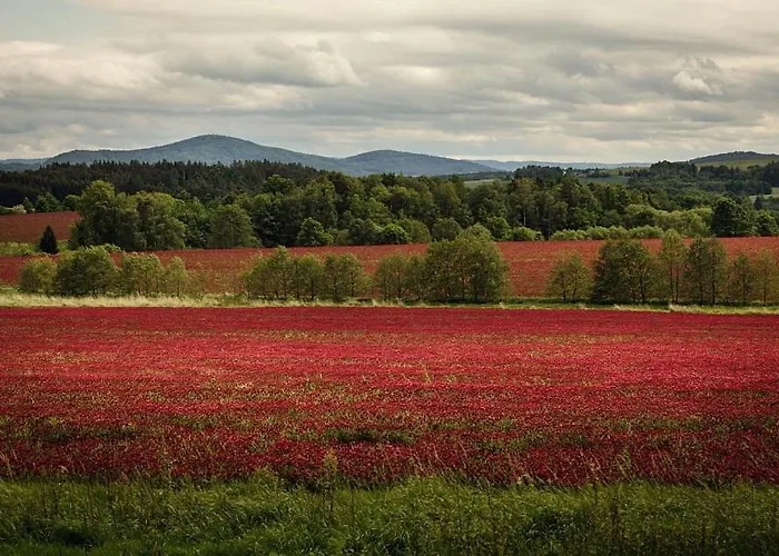 H apartmán Jankov * Jankov (Central Bohemian)