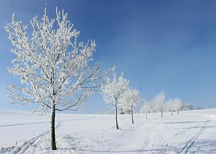 Apartamento H apartmán Jankov